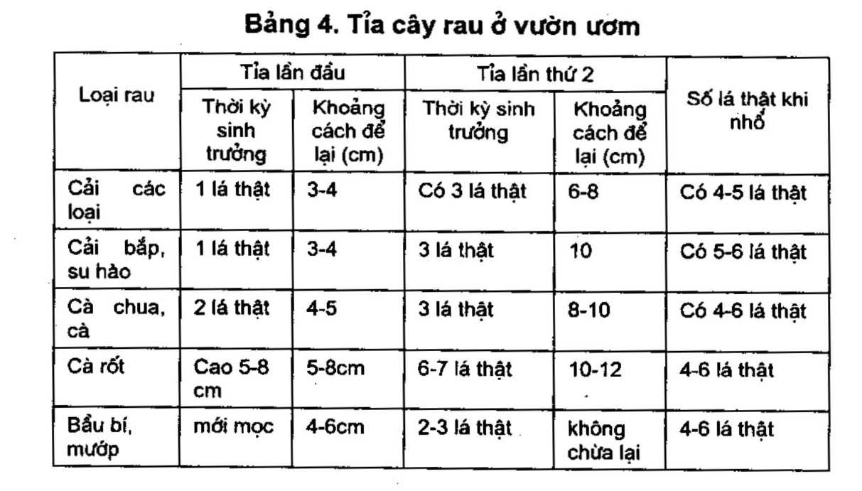 bảng 4