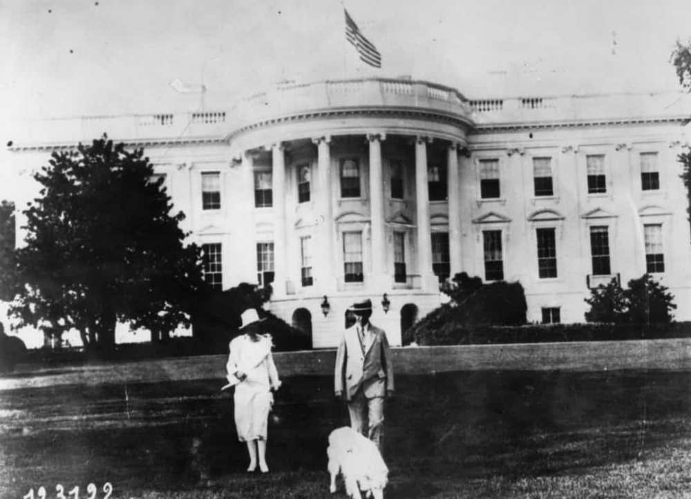 Tổng thống Calvi Coolidge cùng phu nhân và chú chó Collie 
