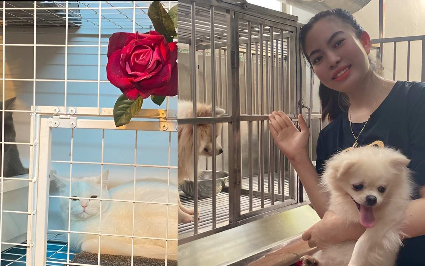 Chị Trịnh Thị Ngọc, chủ cơ sở Pet Home