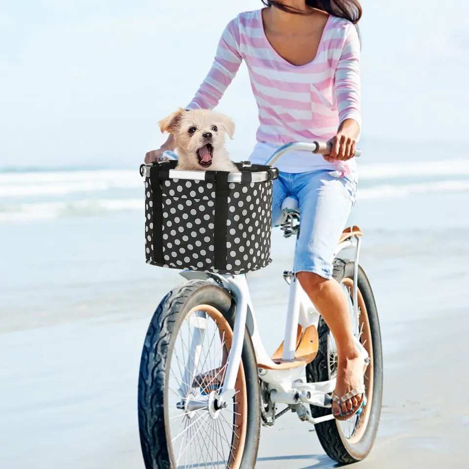 Đạp xe cùng chó