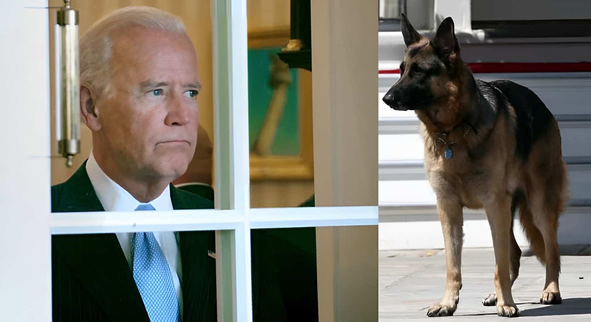 Ông Joe Biden và chú chó của ông ấy