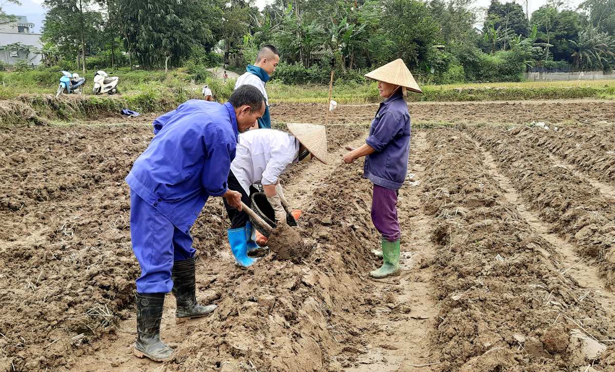 Làm đất, lên luống