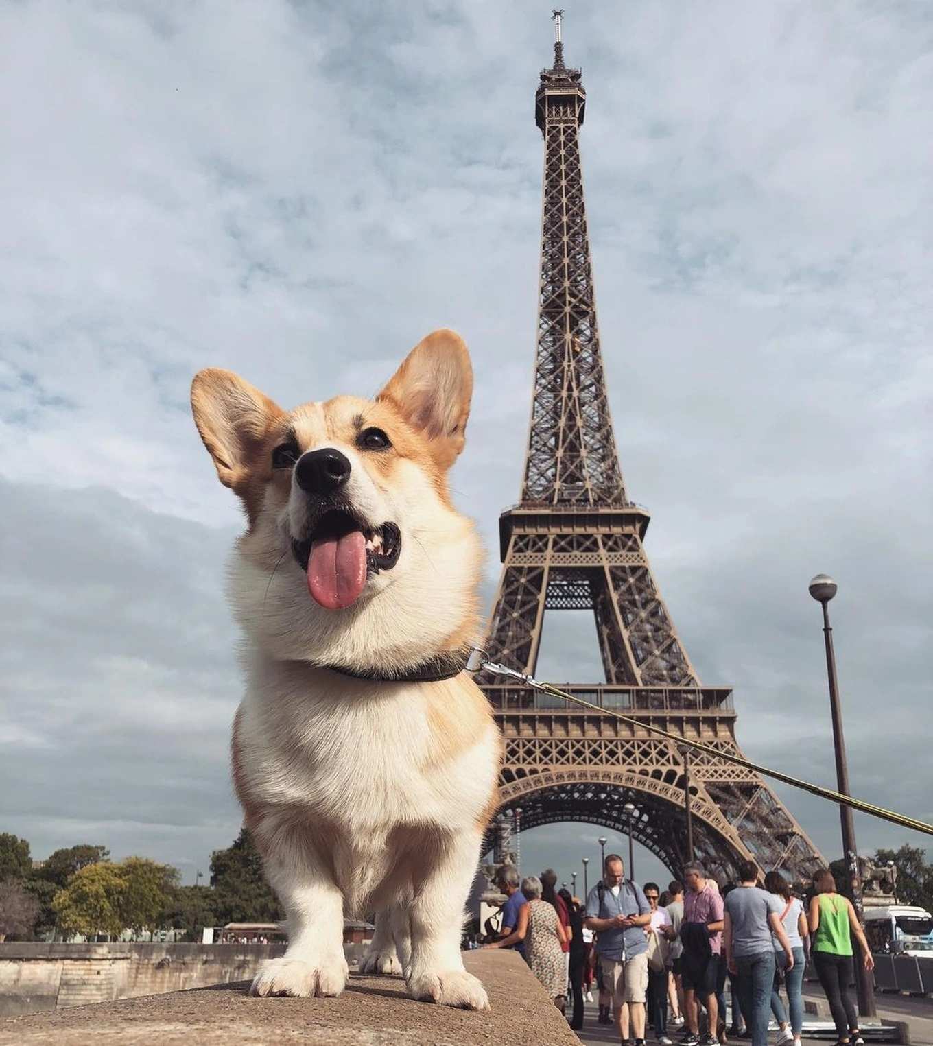 Louis chụp ảnh tại tháp Eiffel, Pháp