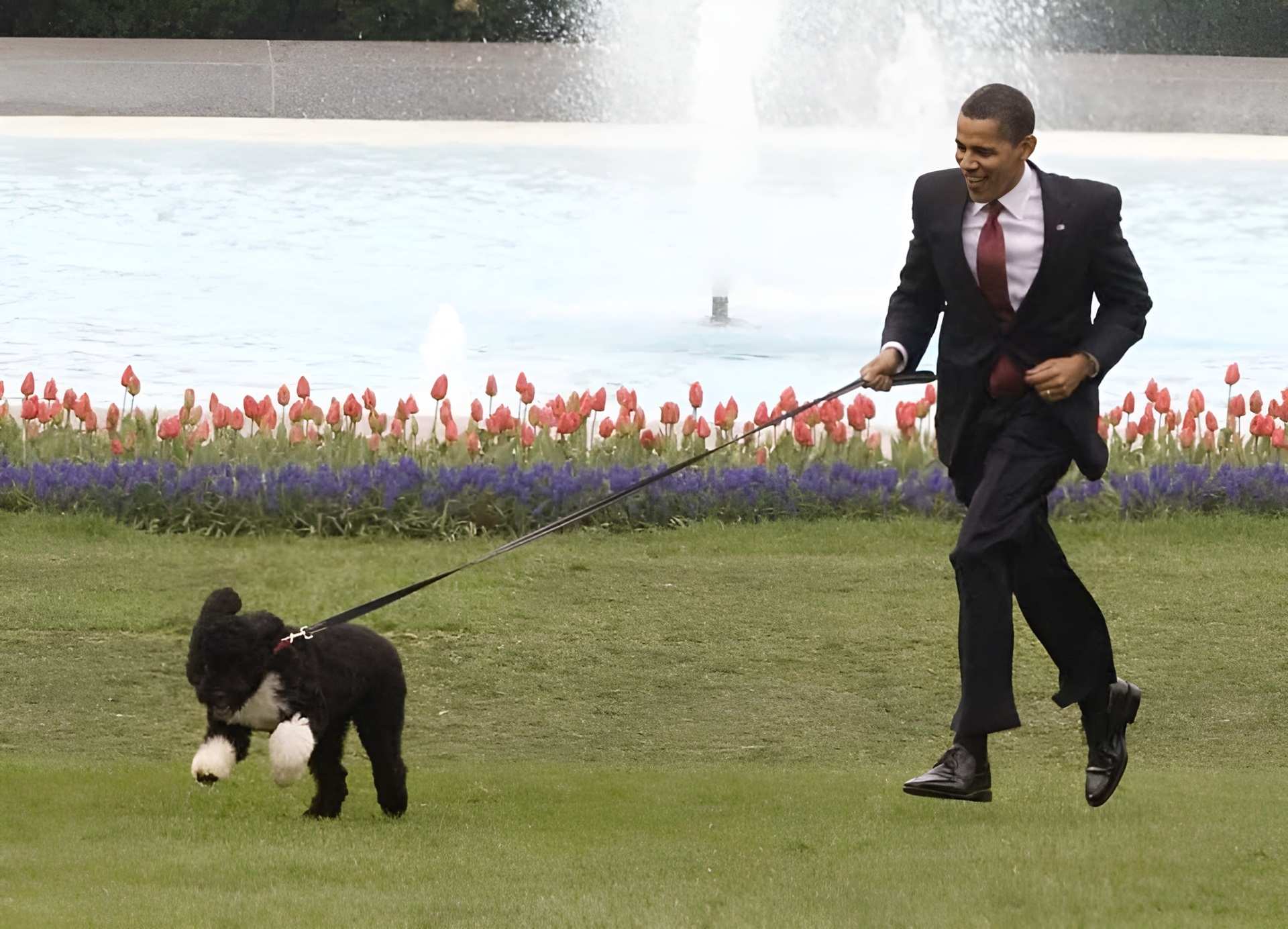 Ông Obama cùng chó Bo
