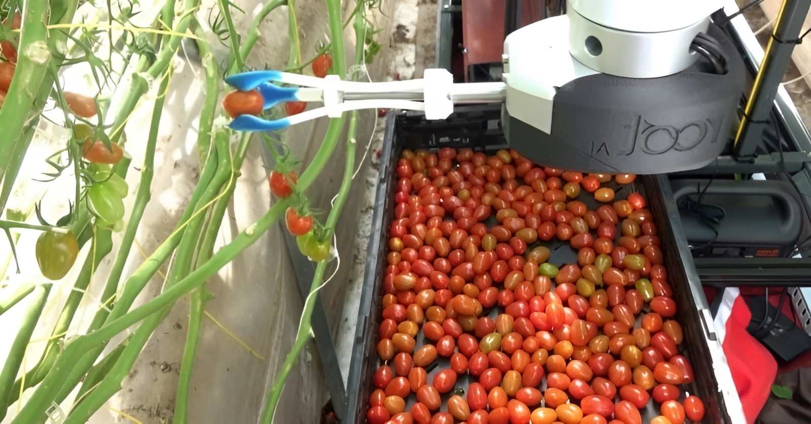 Robot thu hoạch trái cây Virgo 1