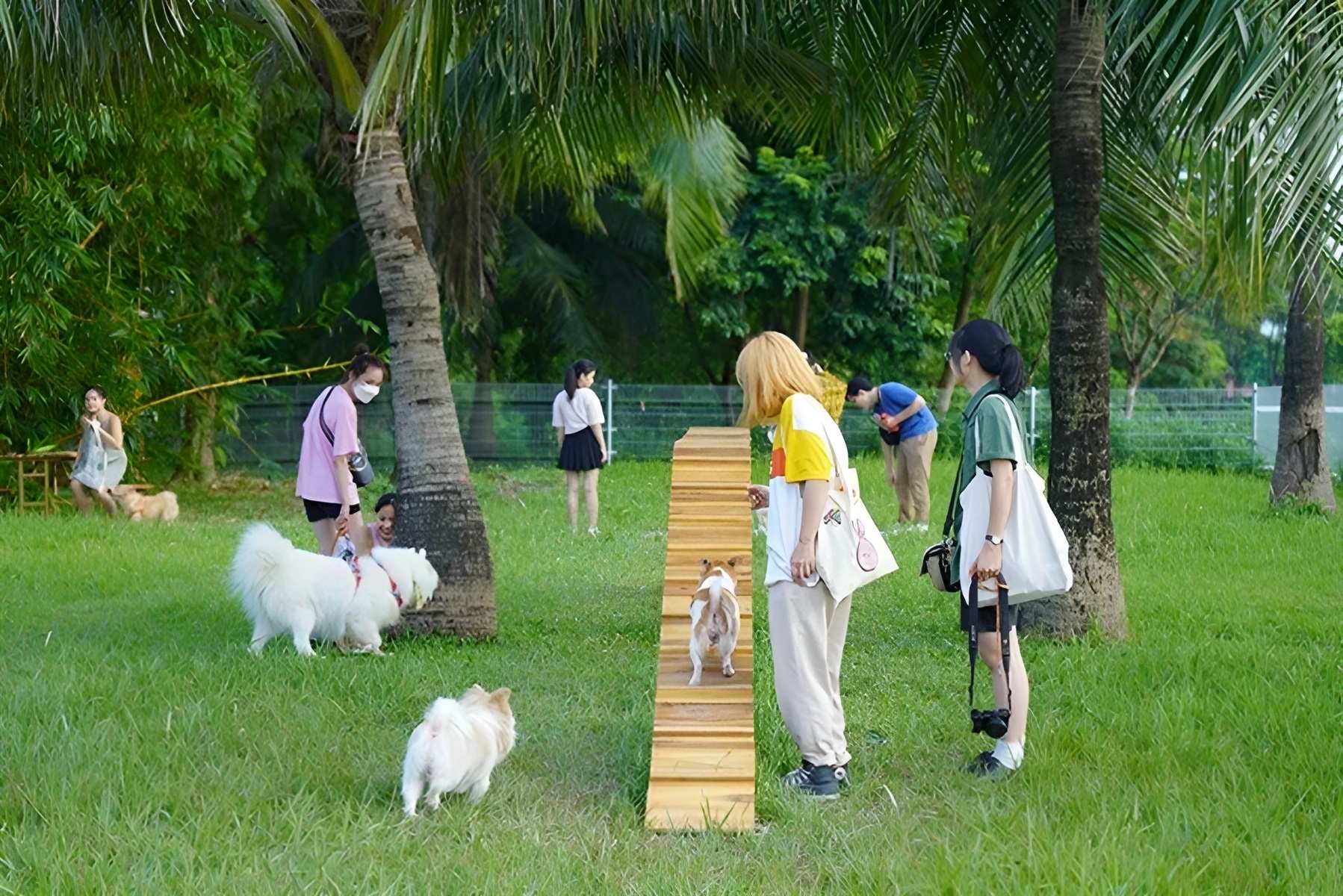 ​Thú cưng chơi tại công viên chó Yên Sở