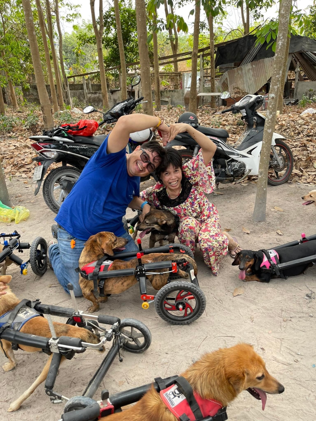Vợ chồng chị Thư tặng xe lăn hàng tuần cho thú cưng