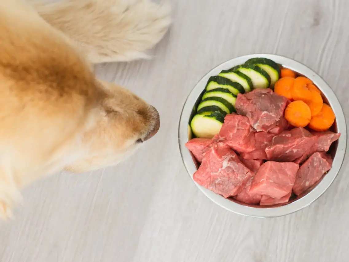 Thực phẩm chứa khoáng - chất dinh dưỡng cần thiết cho thú cưng
