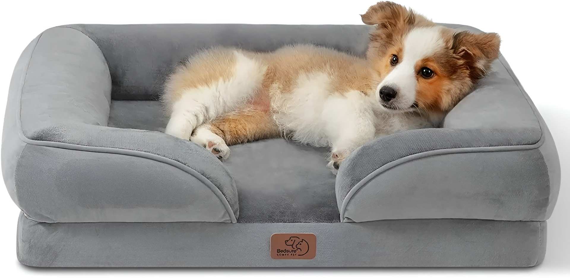 ​Chó sử dụng giường thông minh
