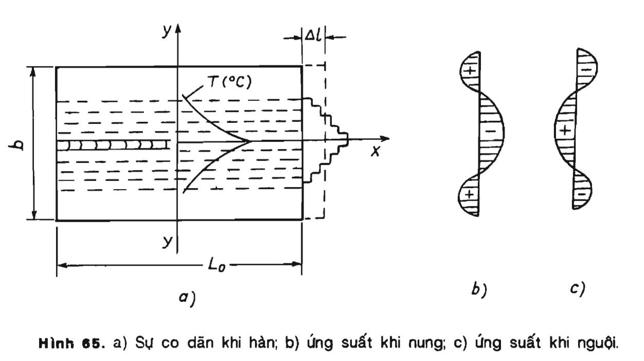 Hình ảnh minh họa 6