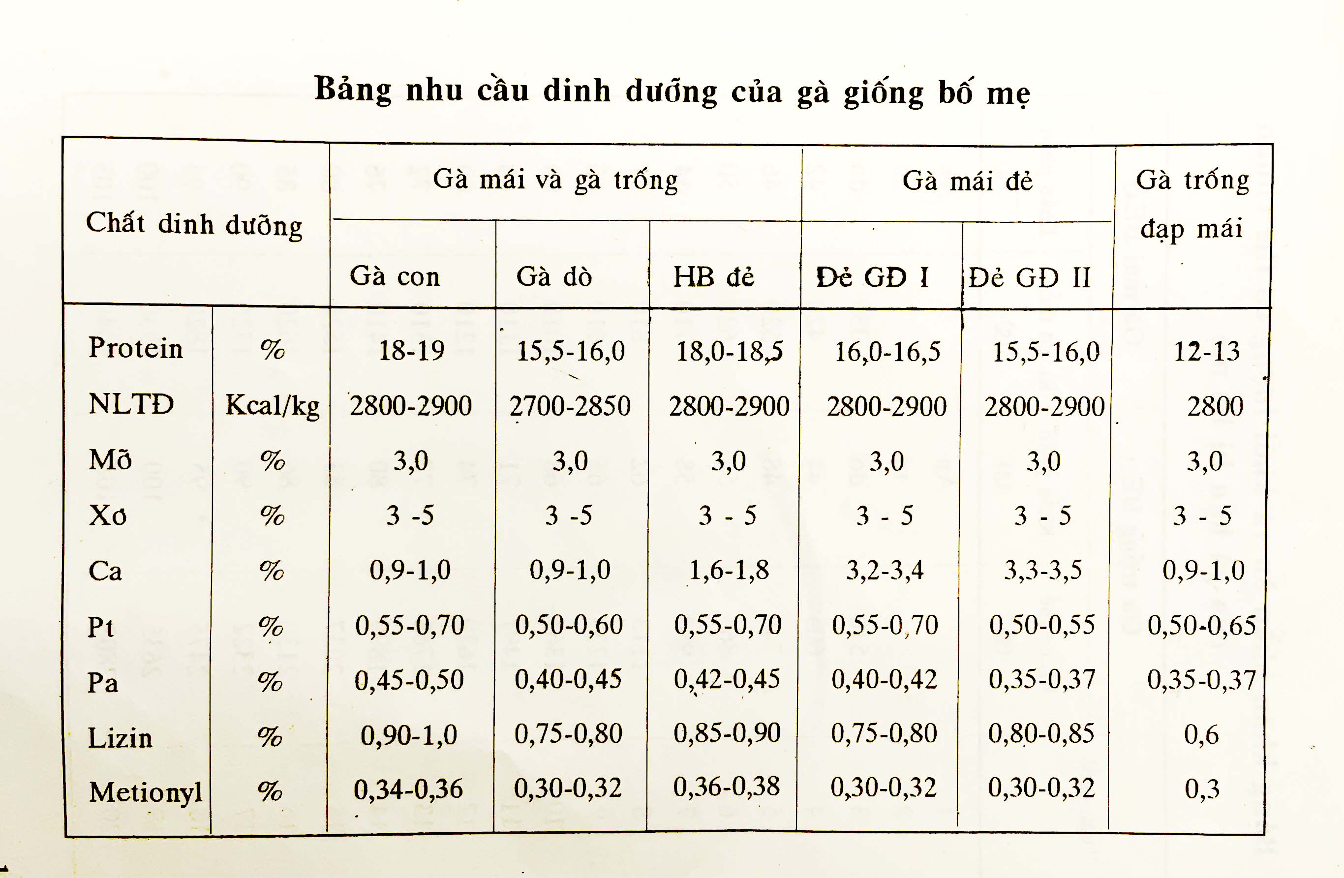 nhu cầu dinh dưỡng của gà giống bố mẹ