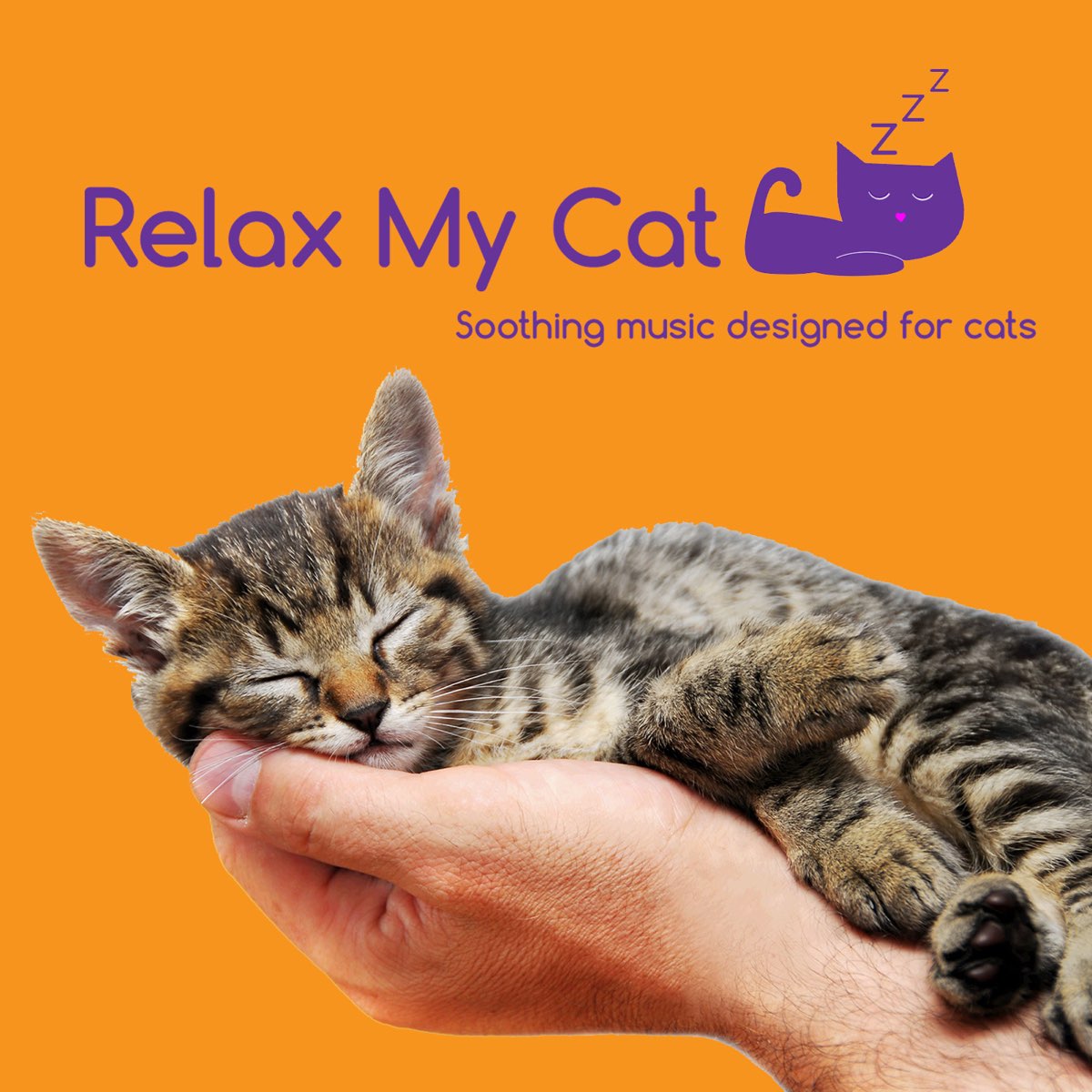 Relax My Cat - Một kênh youtube nhạc cho mèo