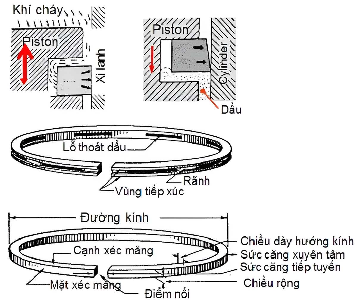 Cấu tạo và vị trí của vòng găng trên pít tông