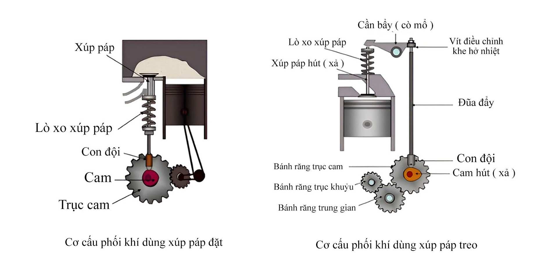 Cấu tạo cơ bản hệ thống phối khí kiểu treo và đặt