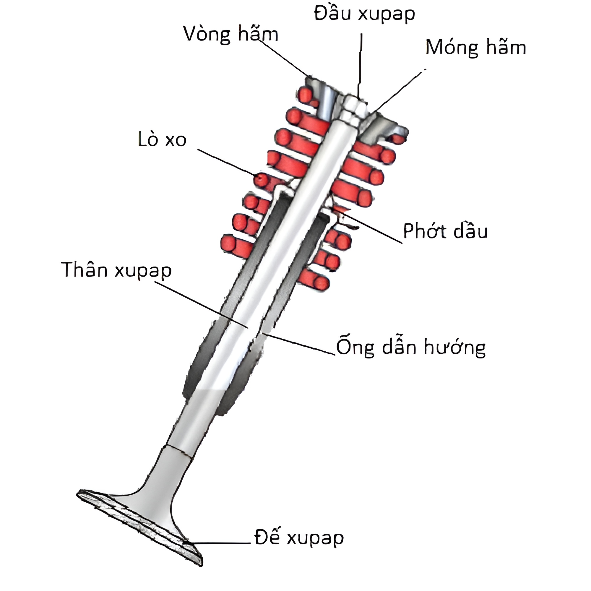 Cấu tạo xúp páp trong động cơ xe máy