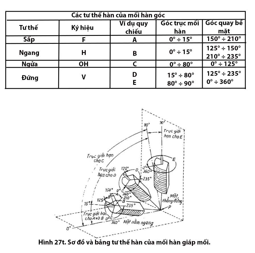 Hình 27t