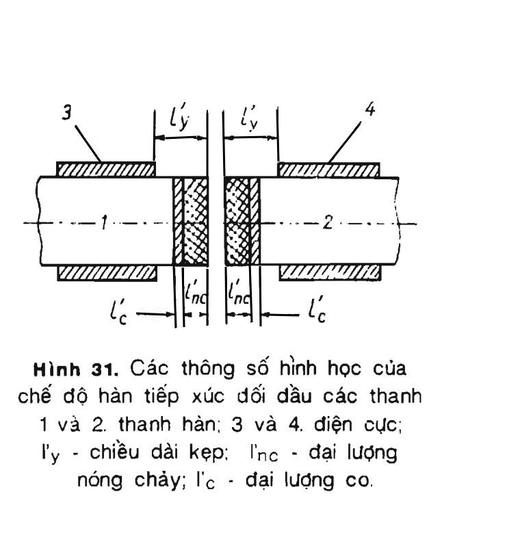 Hình 31