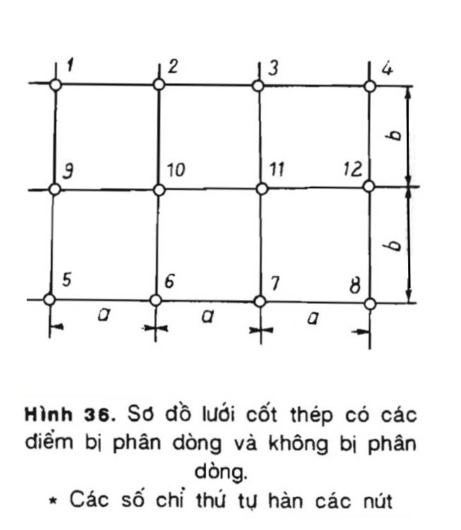 Hình 36