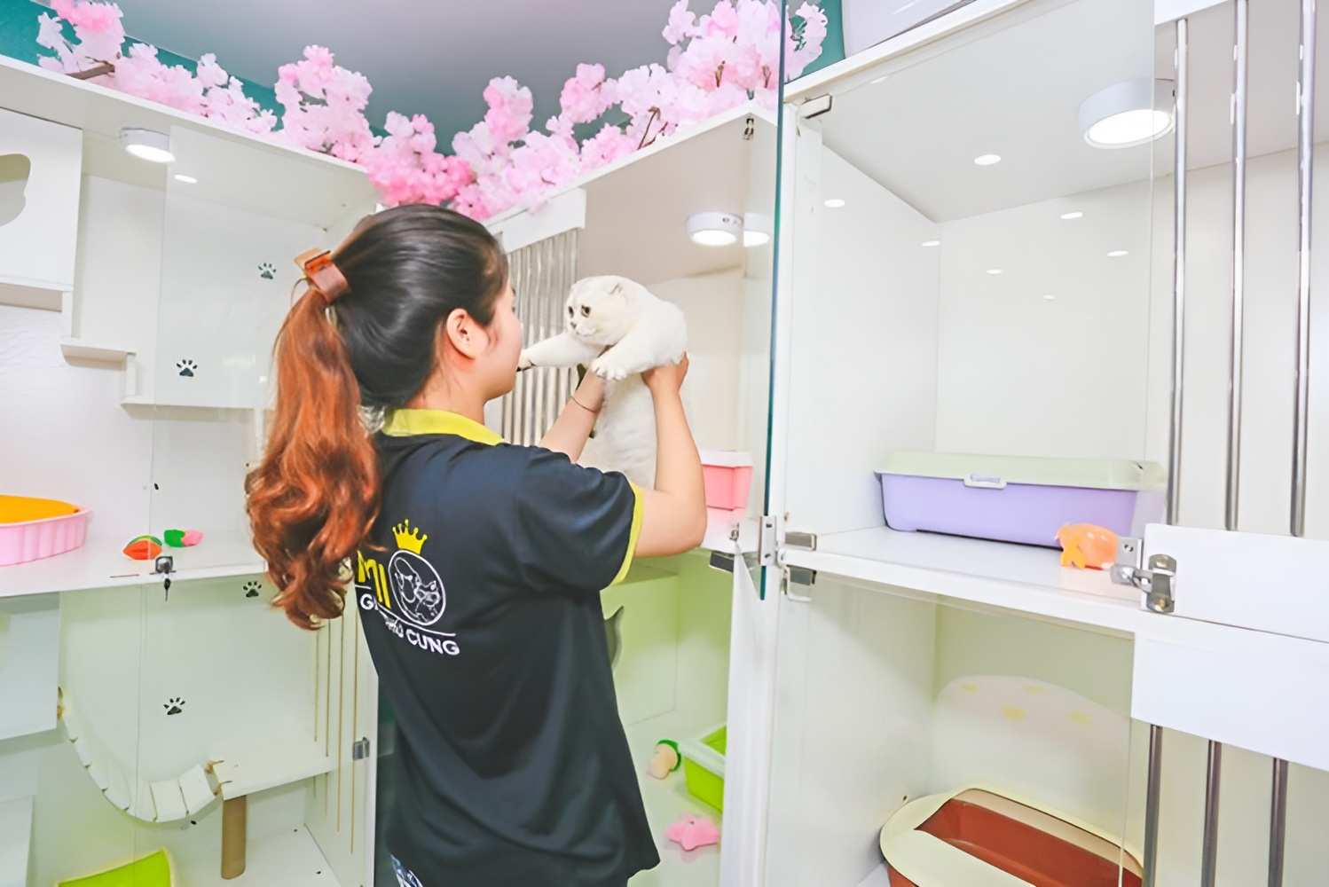 Nhân viên chăm sóc thú cưng tại Khách sạn chó mèo Kimi Pet