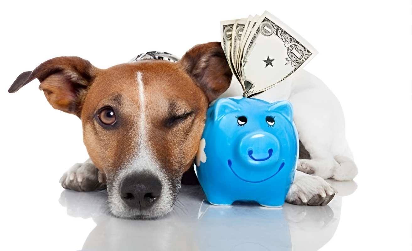 Chi phí thú cưng không nên vượt quá 10% tổng thu nhập của bạn