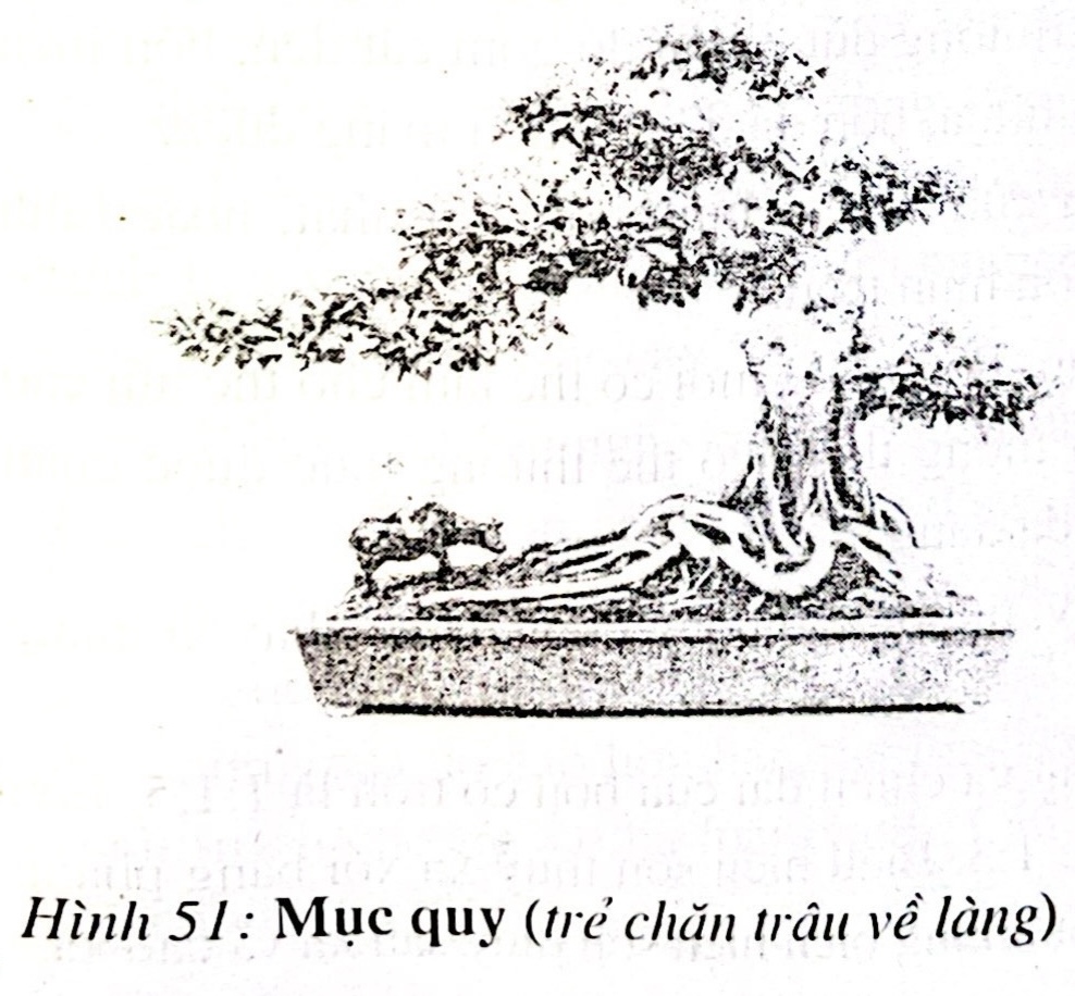 Mệnh đề bồn cảnh (Chủ đề bồn cảnh) trong bonsai - Trần Hợp