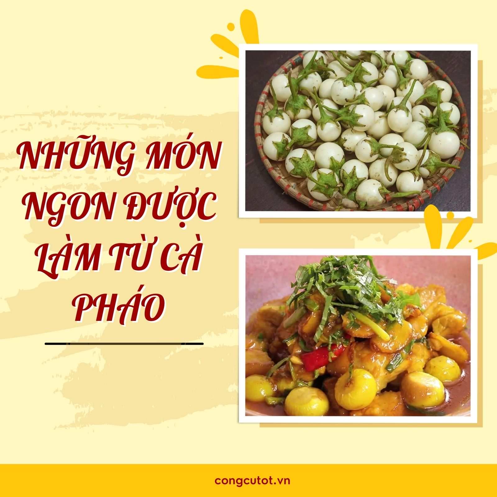 Những món ngon được làm từ cà pháo !