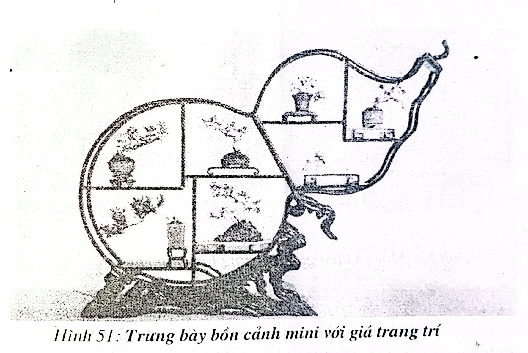 Phối hợp bồn cảnh với giá trang trí bonsai - Trần Hợp