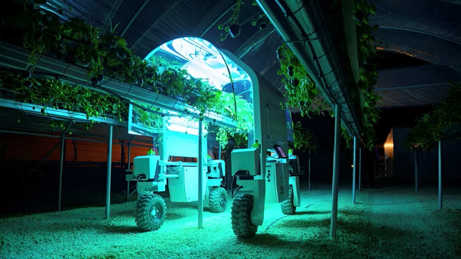 Hình ảnh minh họa chú robot thu hoạch nông sản vào ban đêm