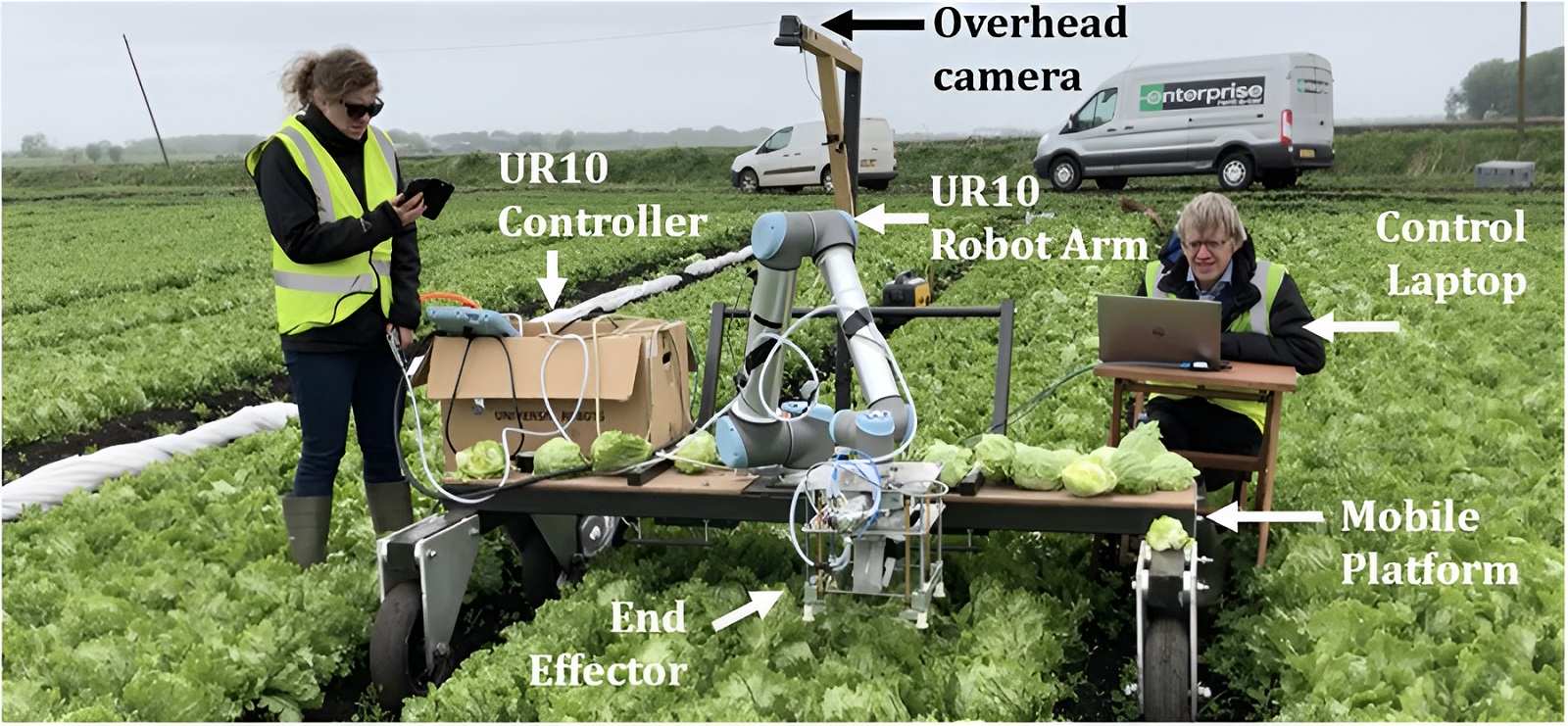 Robot thu hoạch rau xà lách