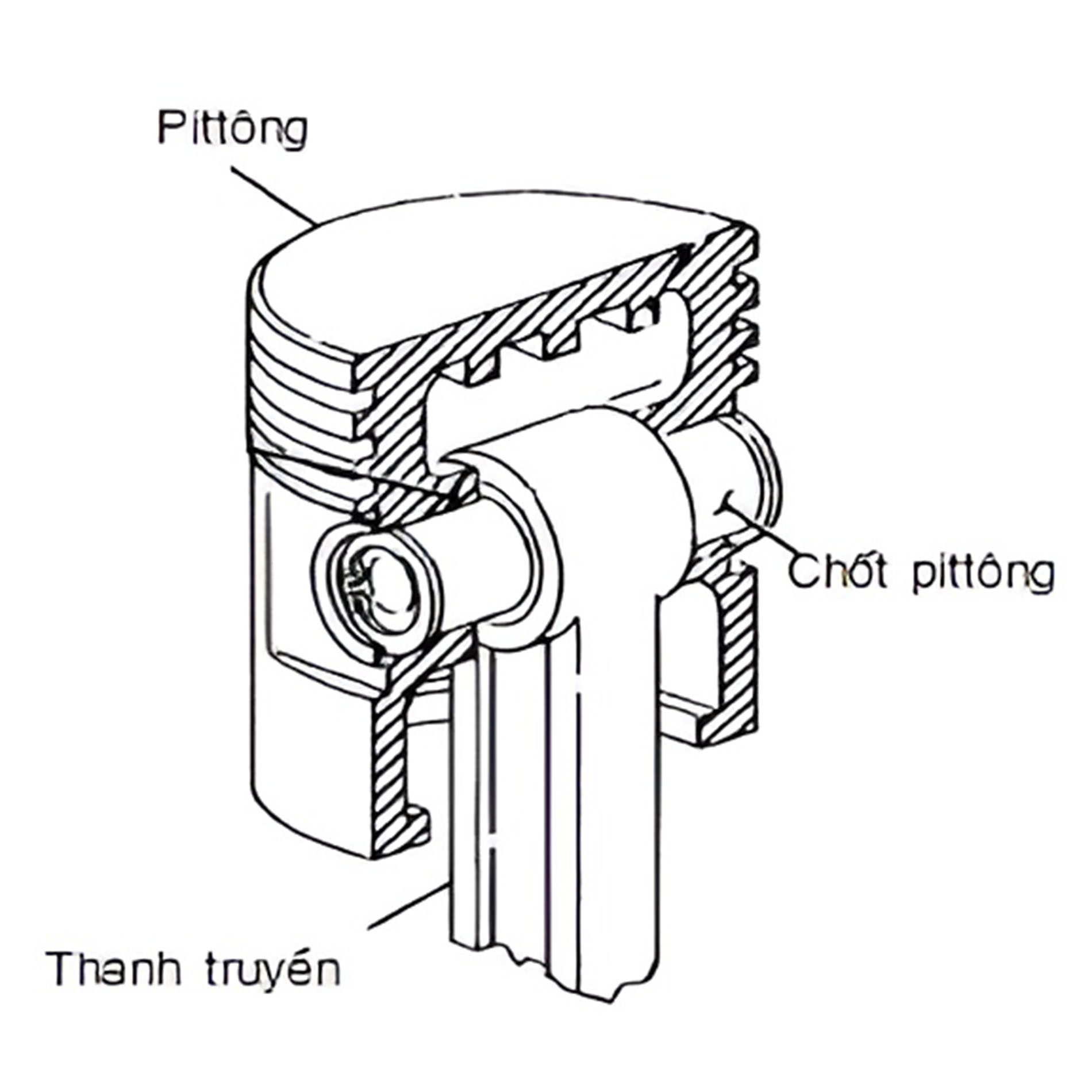 Vị trí lắp ghép của chốt pít tông