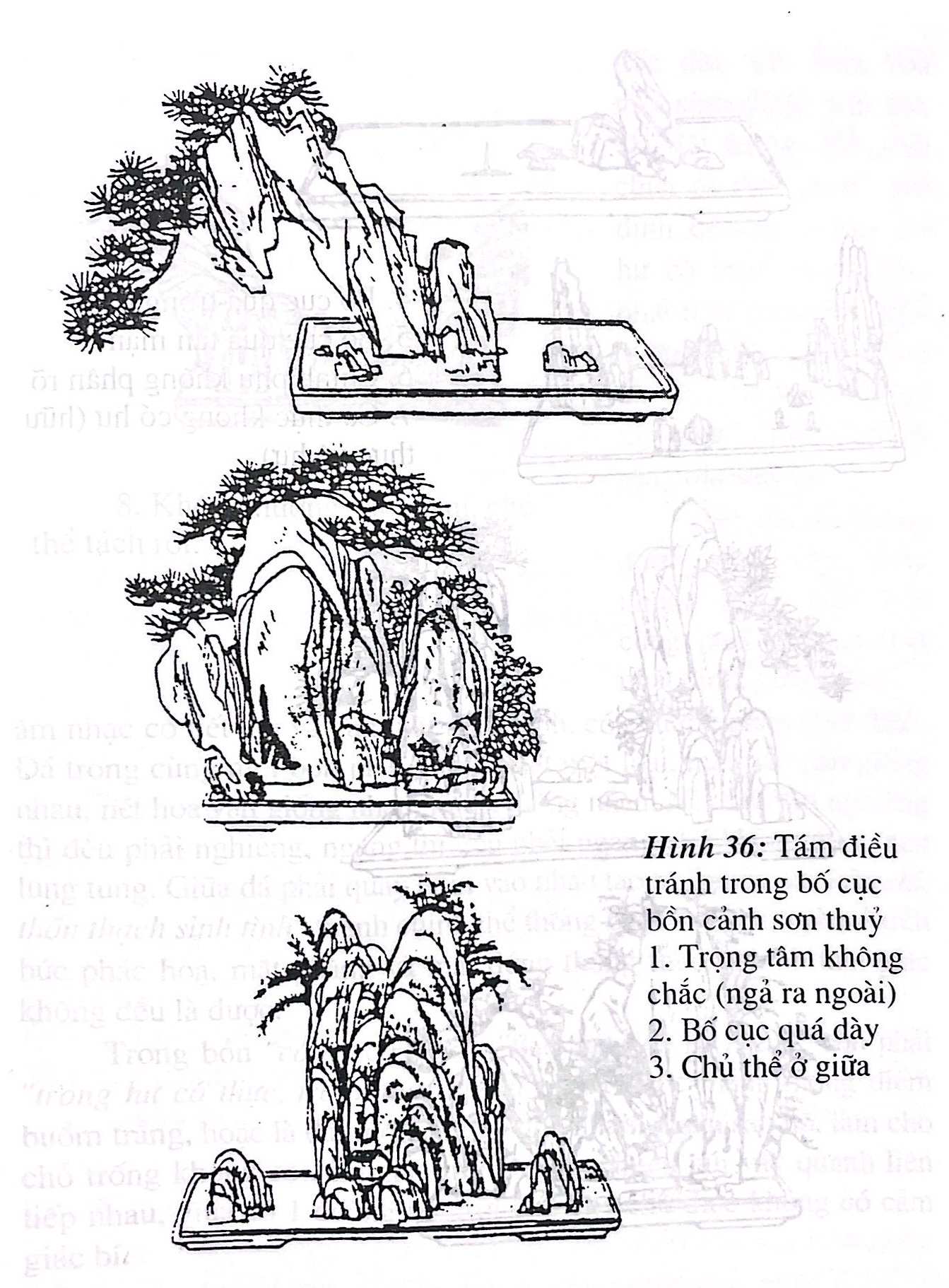 TRỒNG CÂY TÔ ĐIỂM BỒN CẢNH SƠN THUỶ