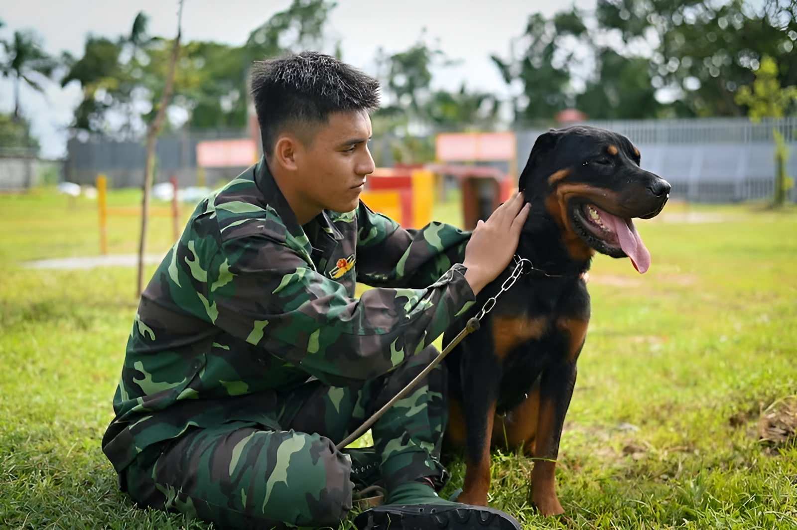 Chó được huấn luyện ở Trung tâm Thiên Khuyển
