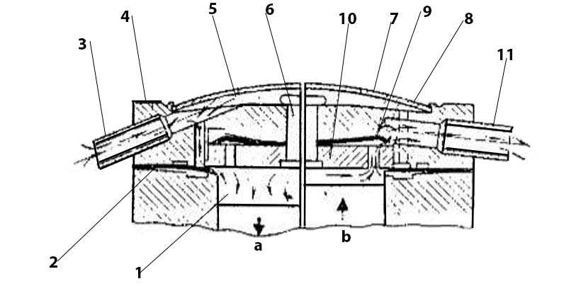 Hình 20