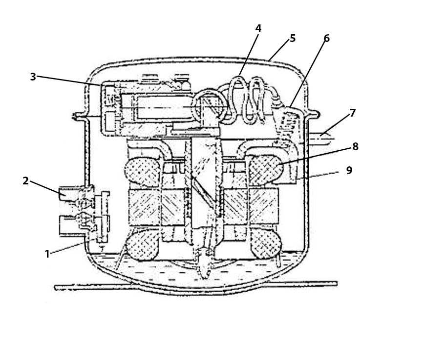 Hình 30b