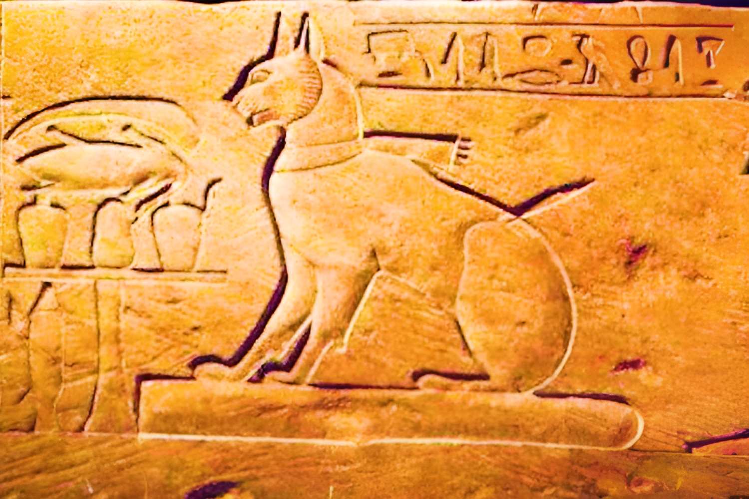 ​Một bức vẽ mèo được người Ai Cập khắc trên tường