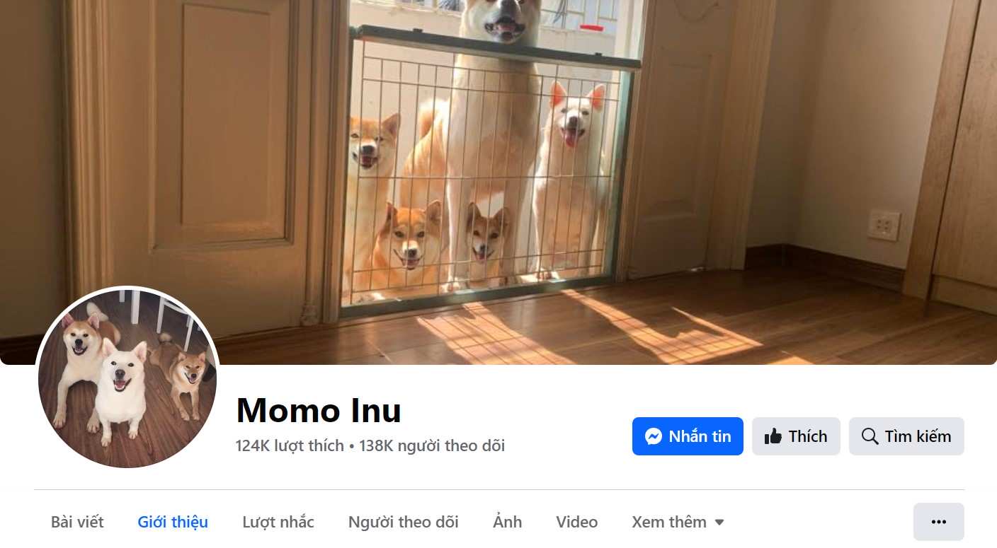 ​Trang FacebookFacebook của chó Momo Inu