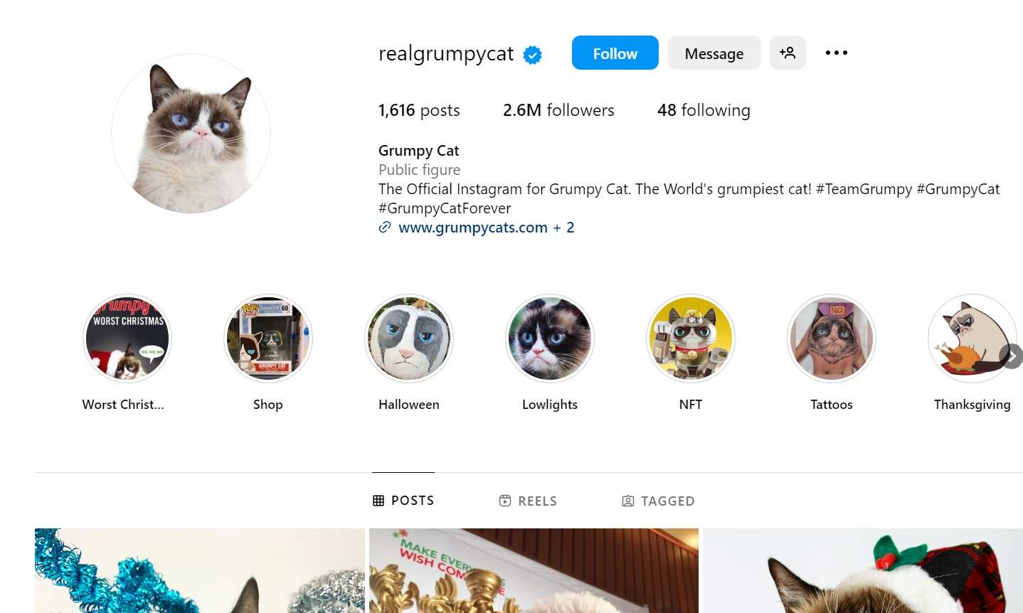 Grumpy Cat - tài khoản mega influencer với 2,6 triệu người theo dõi