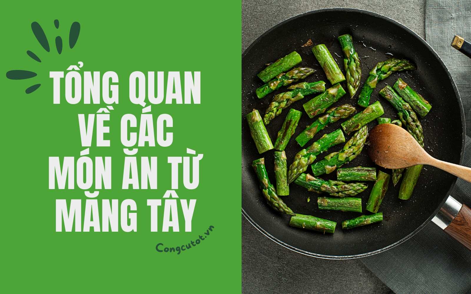 Tổng quát về cây măng tây