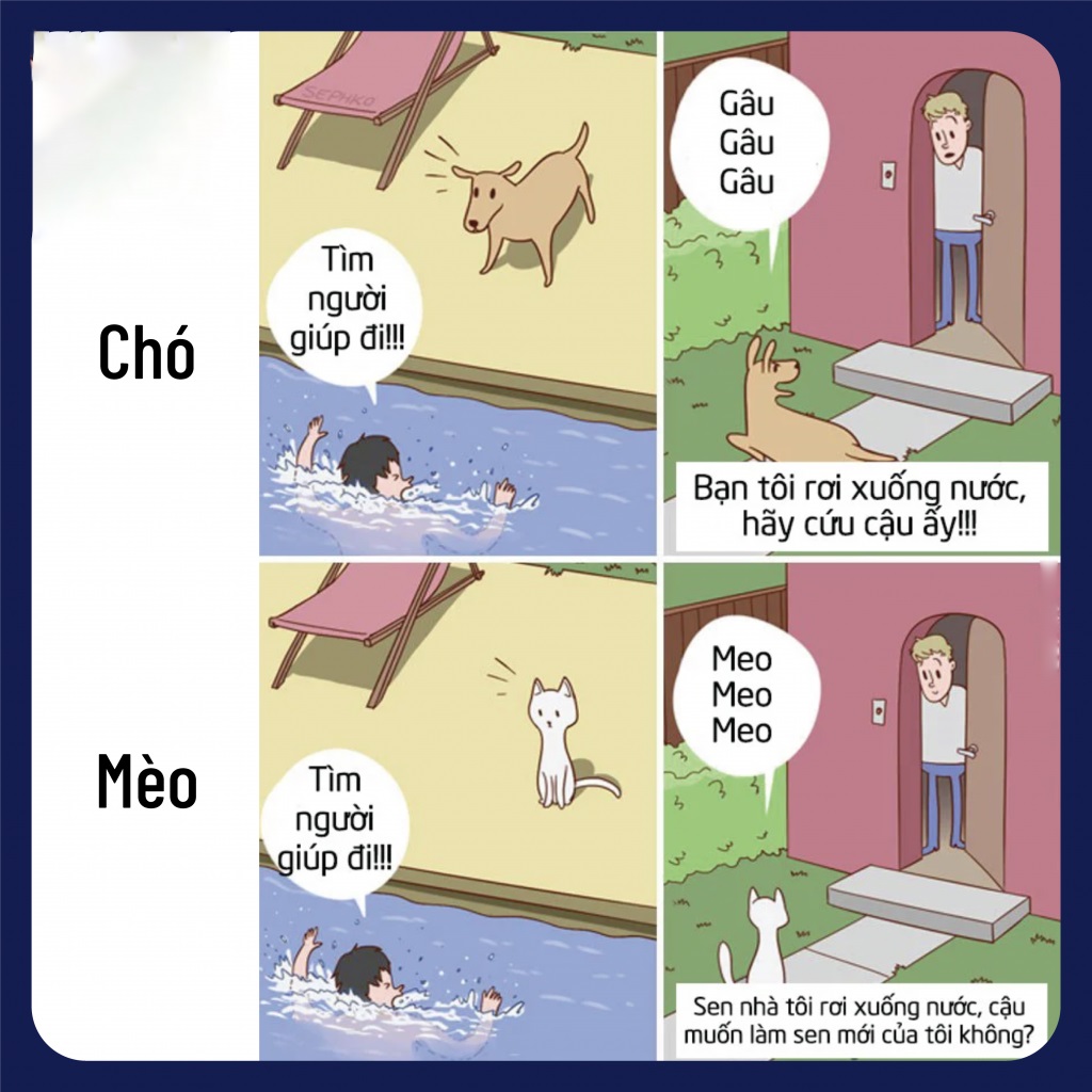 Chó làm cho chủ nhân cảm thấy an toàn