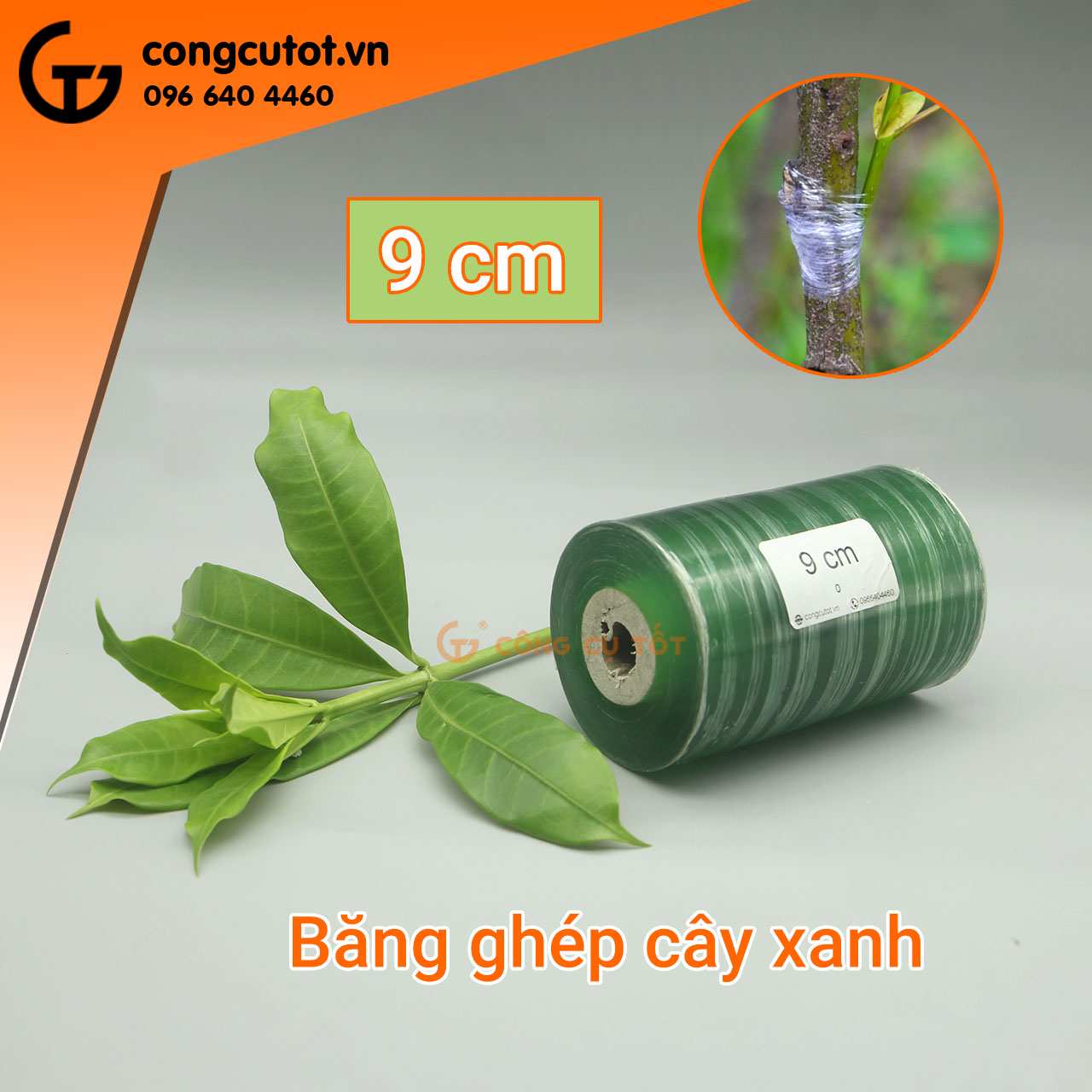 Băng ghép cây xanh khổ 9cm sử dụng rộng rãi, phổ biến trong nông nghiệp