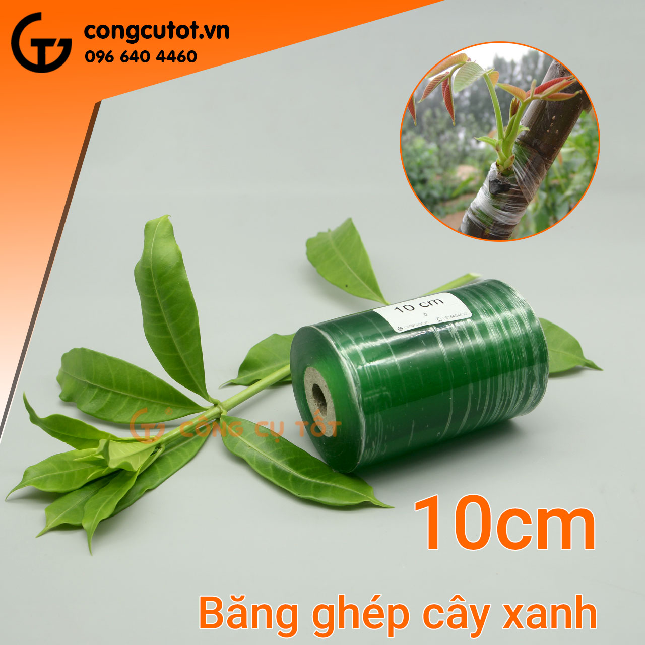 Băng ghép cây xanh khổ 10cm sử dụng rộng rãi, phổ biến trong nông nghiệp