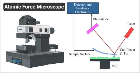 Atomic Force Microscopy - AFM