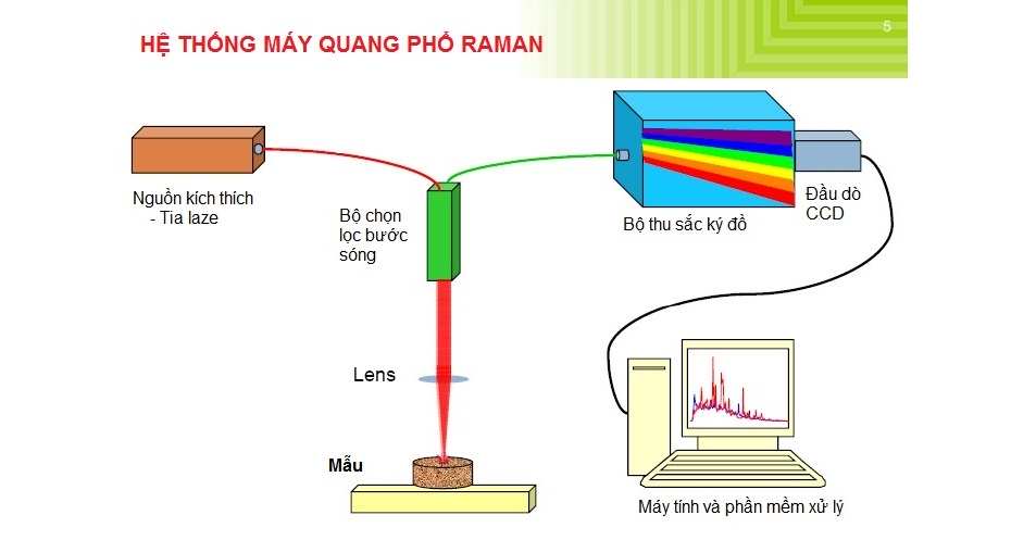 sơ đồ raman