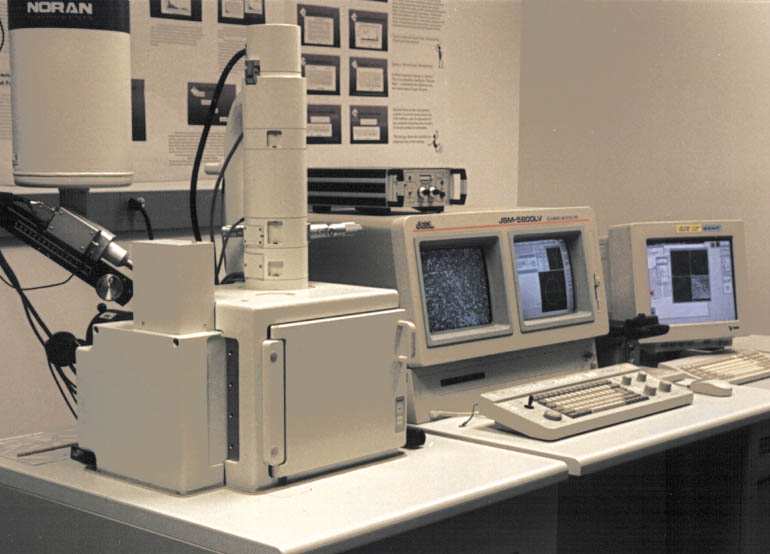 Scanning Electron Microscopy - SEM