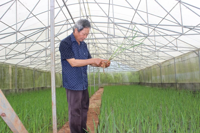 Phó Giáo sư Hoan