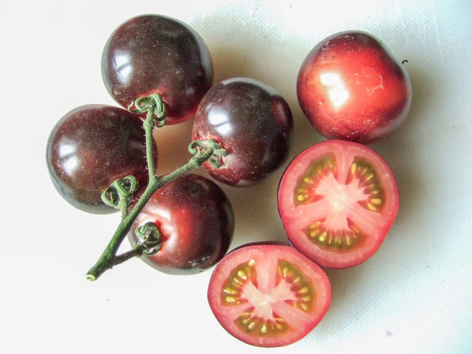 Hình ảnh cà chua Indigo Rose