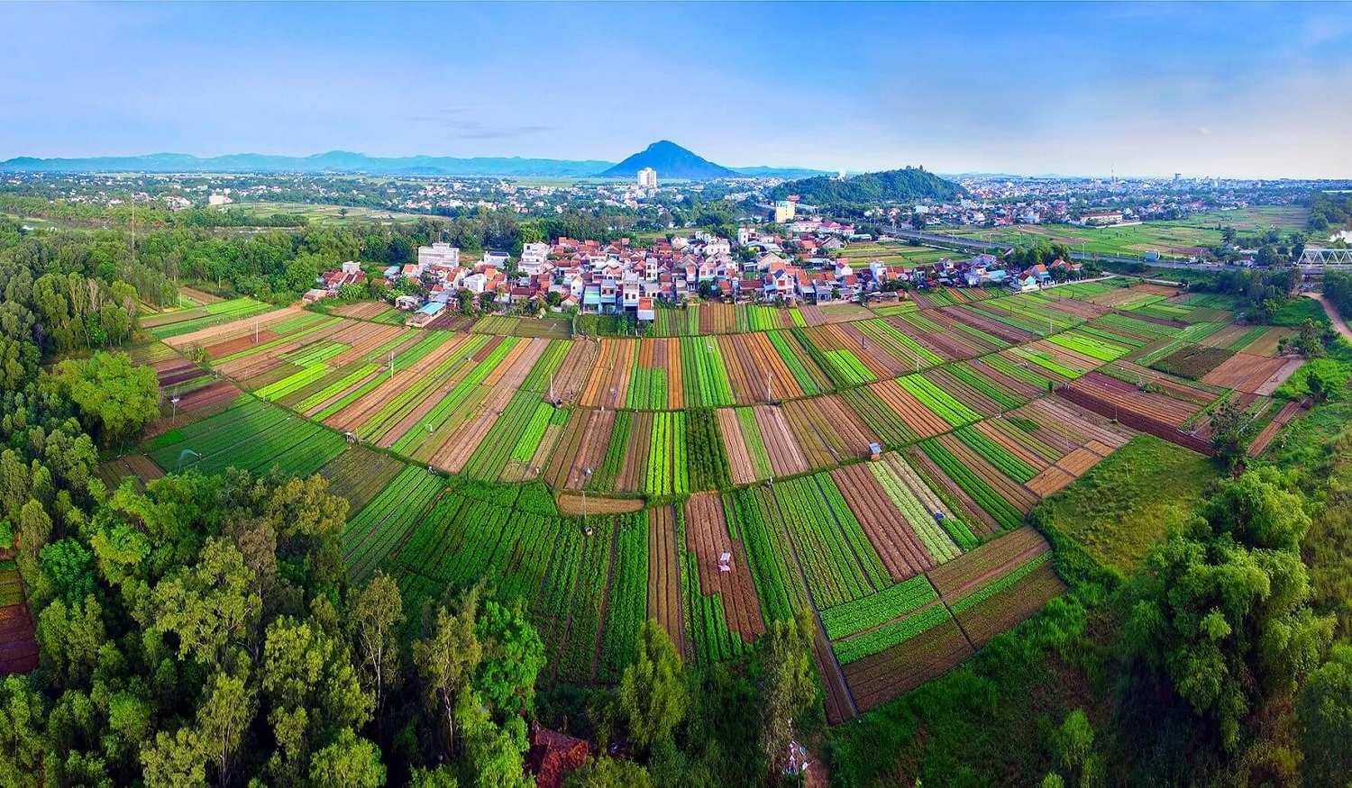 Vùng sinh thái của Việt Nam