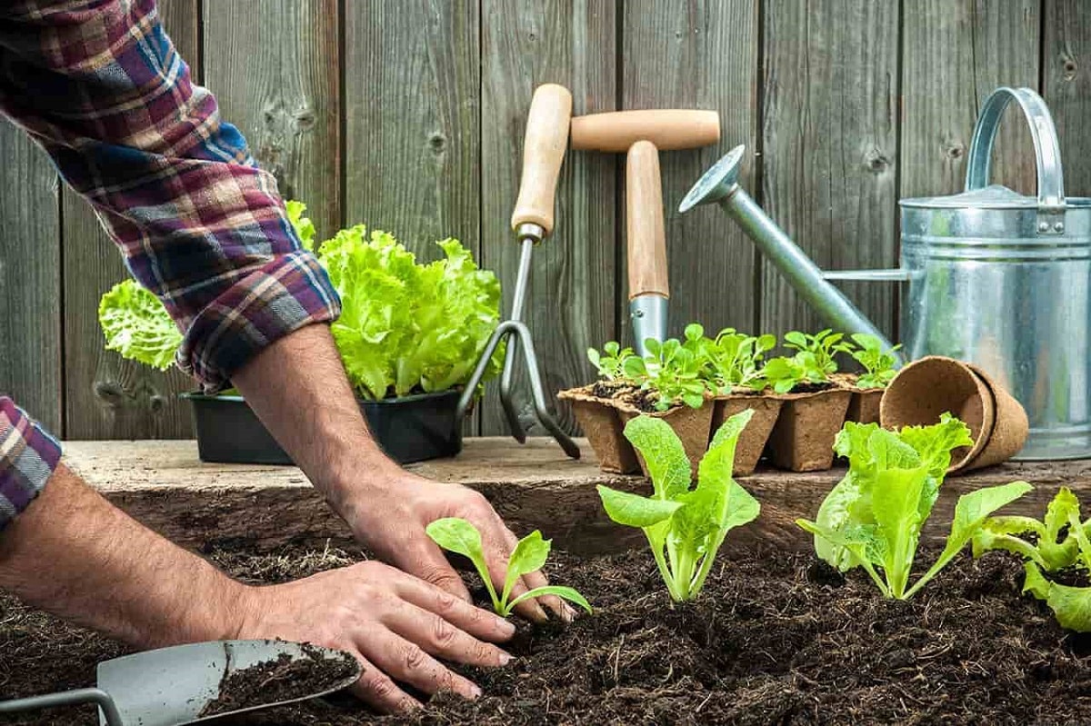 Các thiết bị, công cụ trong trồng trọt